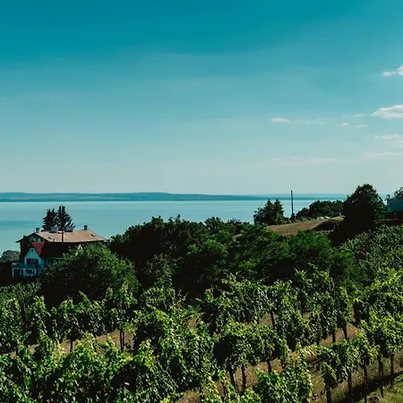 Szivarvany Vendeghaz Guest house Badacsonytomaj