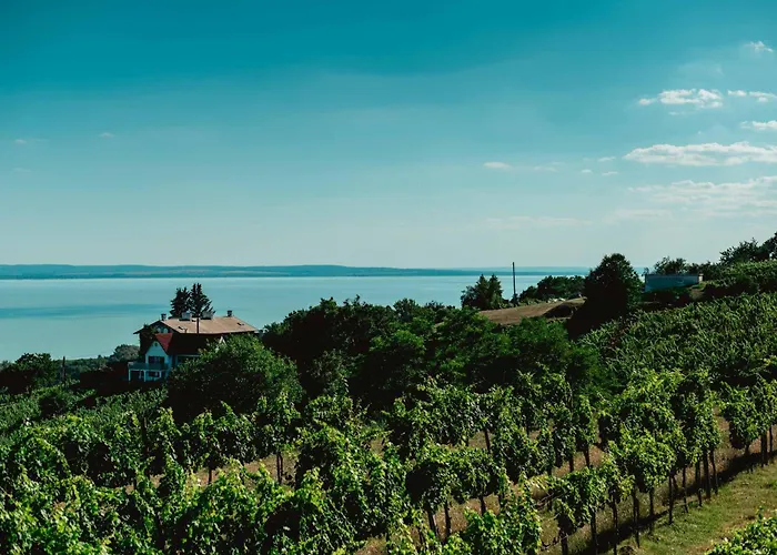 Szivarvany Vendeghaz Vendégház Badacsonytomaj